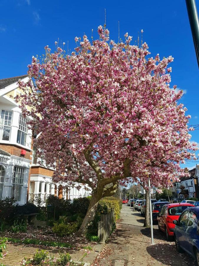 Kew Gardens - Private Double Room Richmond London - Homestay Luaran gambar