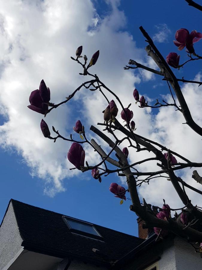 Kew Gardens - Private Double Room Richmond London - Homestay Luaran gambar